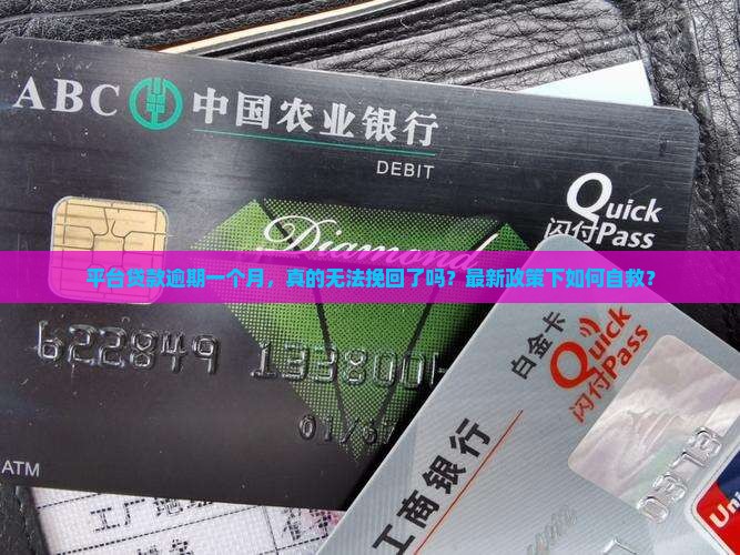 平台贷款逾期一个月