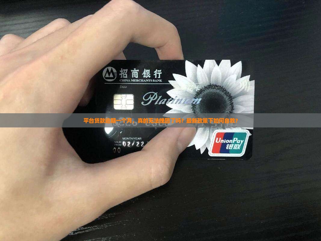 平台贷款逾期一个月
