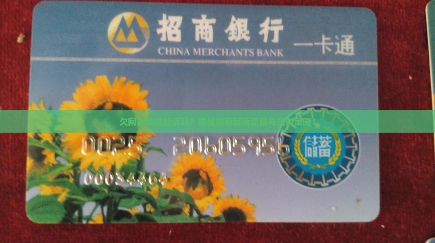 欠网贷起诉过程详解