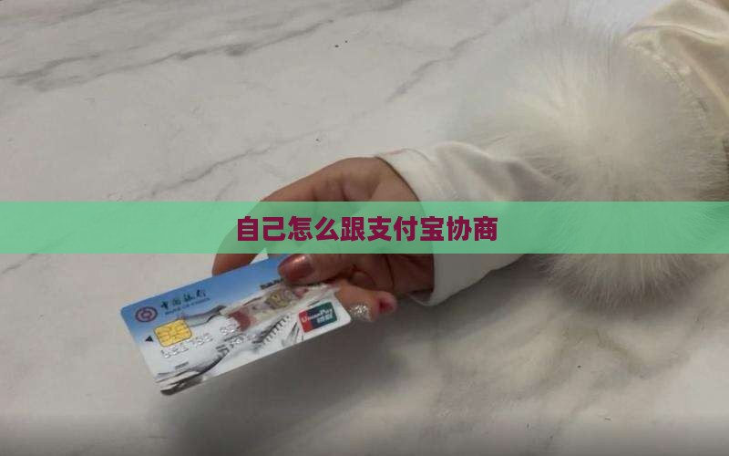 自己怎么跟支付宝协商