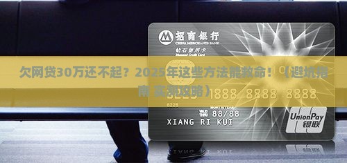 欠网贷30万无力偿还最新规定