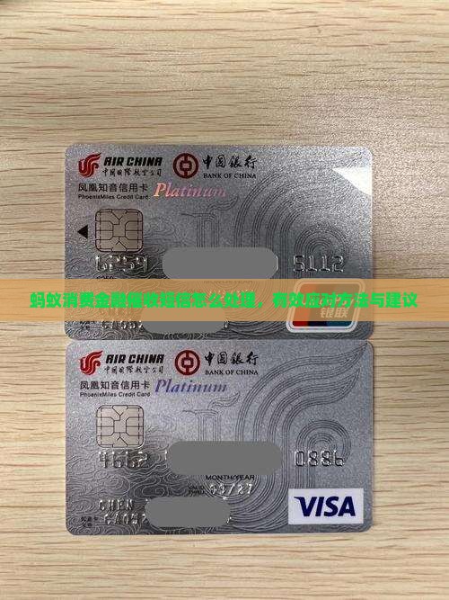 蚂蚁消费金融催收短信怎么处理