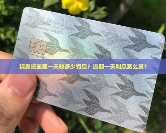 锦囊贷逾期一天收多少罚息