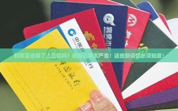 料你富逾期了上征信吗
