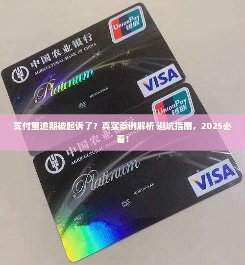支付宝逾期有人被起诉了吗