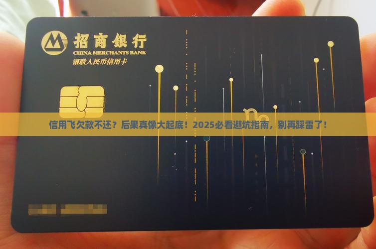 信用飞不还款会有哪些后果