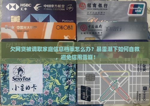 欠网贷被调取家庭信息档案怎么处理