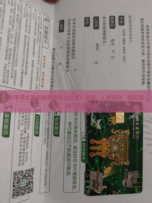太平洋太享贷逾期该怎么处理