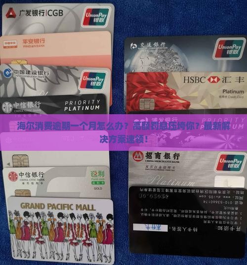 海尔消费逾期一个月如何解决