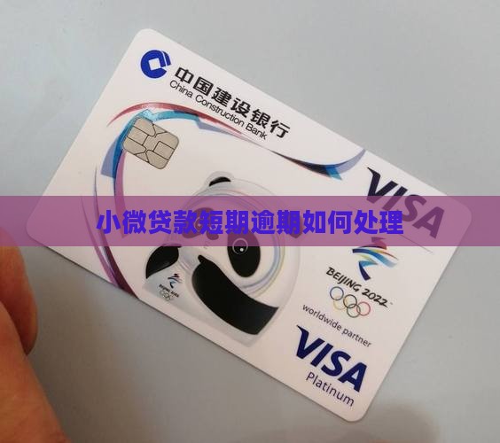 小微贷款短期逾期如何处理 小微贷款短期逾期如何处理