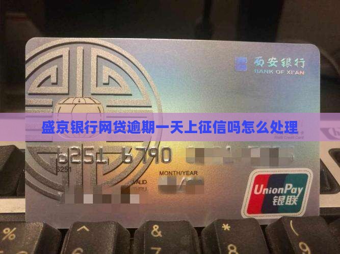 盛京银行网贷逾期一天上征信吗如何处理
