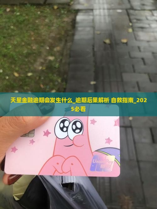 天星金融逾期会发生什么
