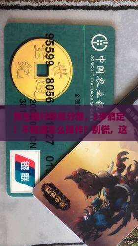 民生银行停息分期具体操作步骤和协商技巧