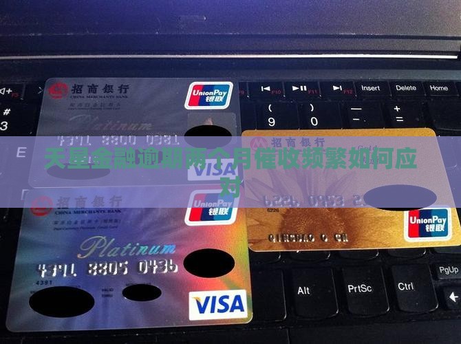 天星金融逾期两个月催收频繁怎么办