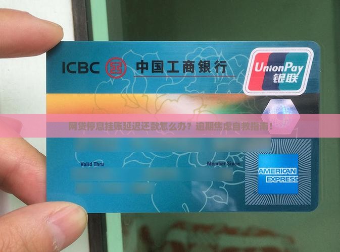 网贷停息挂账延迟还款如何处理