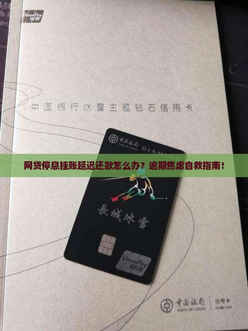 网贷停息挂账延迟还款如何处理