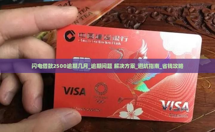 闪电借款2500逾期几月