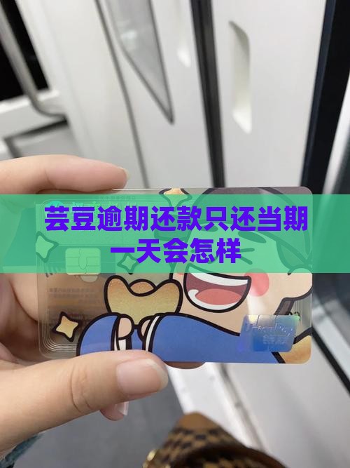 芸豆逾期还款只还当期会发生什么