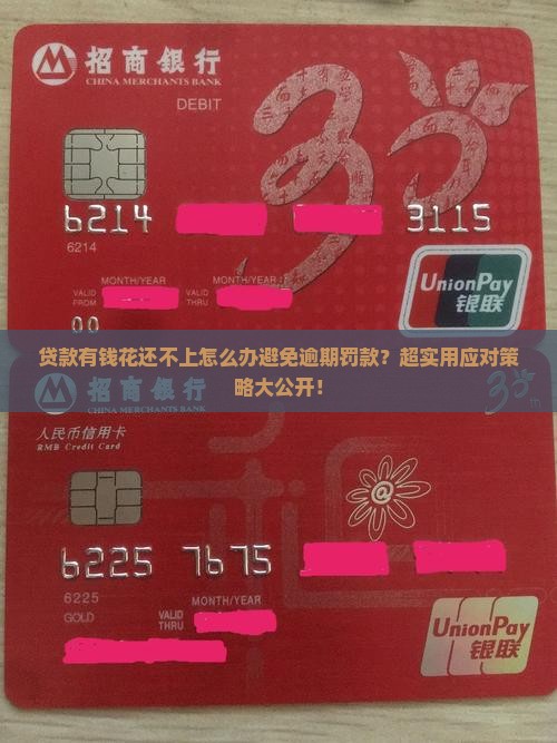 贷款有钱花还不上怎么办避免逾期罚款