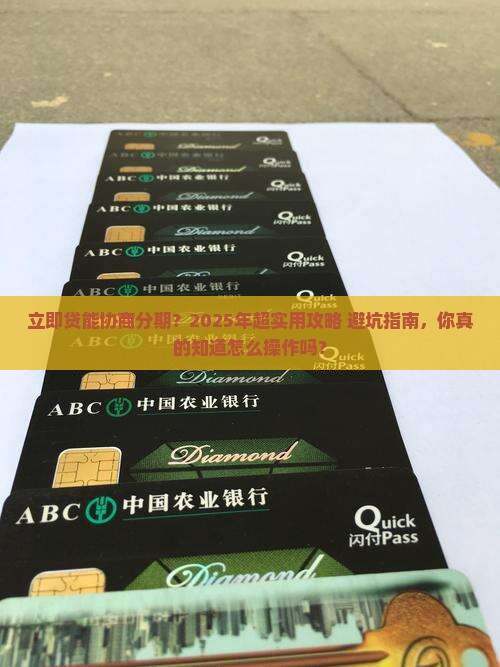 立即贷能协商分期如何操作