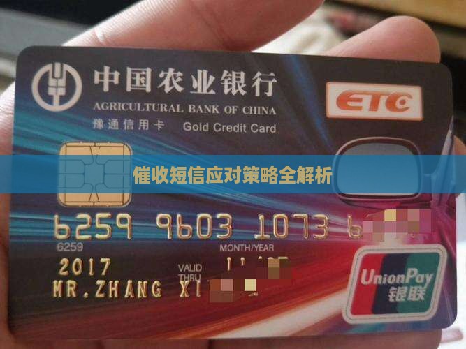 催收短信应对策略全解析