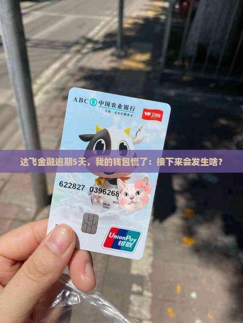 达飞金融逾期5天，我的钱包慌了：接下来会发生啥？
