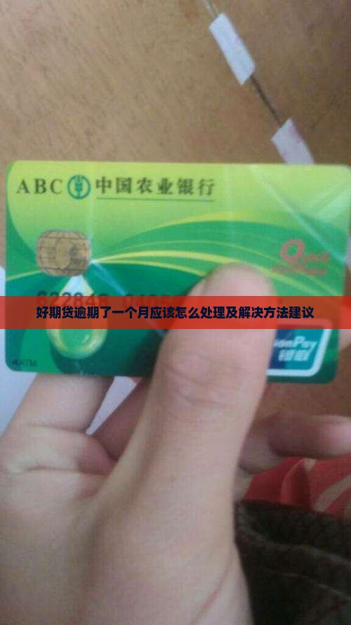 好期贷逾期了一个月应该怎么处理及解决方法建议