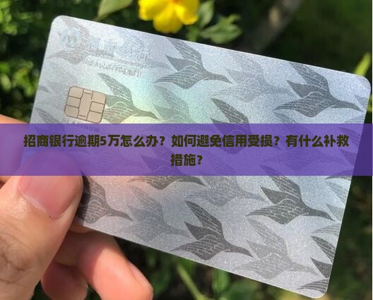 招商银行逾期5万怎么办？如何避免信用受损？有什么补救措施？