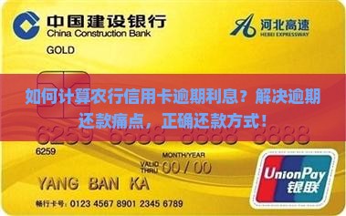 如何计算农行信用卡逾期利息？解决逾期还款痛点，正确还款方式！