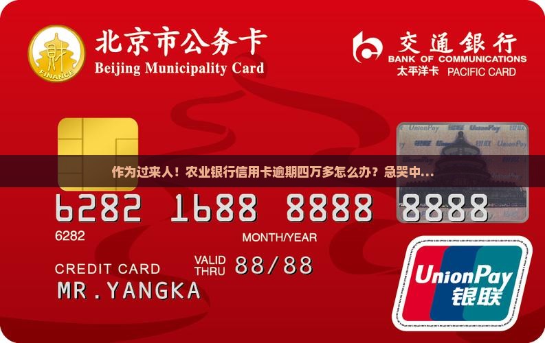 作为过来人！农业银行信用卡逾期四万多怎么办？急哭中…