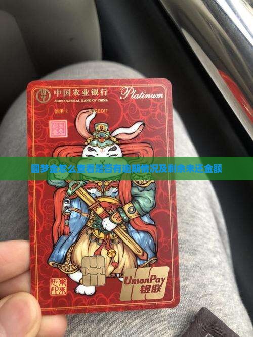 圆梦金怎么查看是否有逾期情况及剩余未还金额