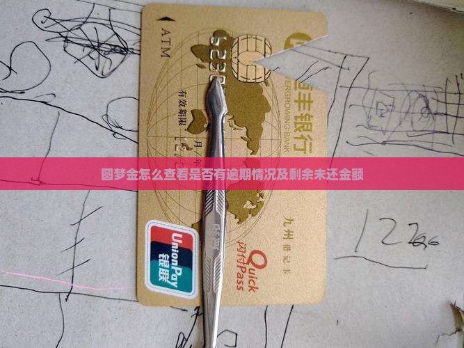 圆梦金怎么查看是否有逾期情况及剩余未还金额