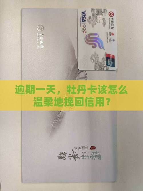 逾期一天，牡丹卡该怎么温柔地挽回信用？