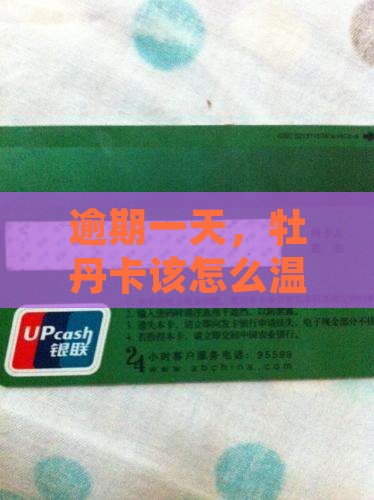 逾期一天，牡丹卡该怎么温柔地挽回信用？