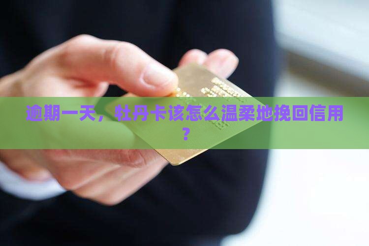 逾期一天，牡丹卡该怎么温柔地挽回信用？