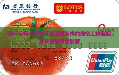 建行信用卡逾期开庭需要怎样的准备工作逾期多久能使用新政策