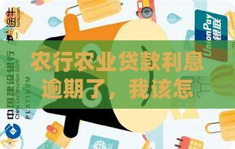 农行农业贷款利息逾期了，我该怎么办？