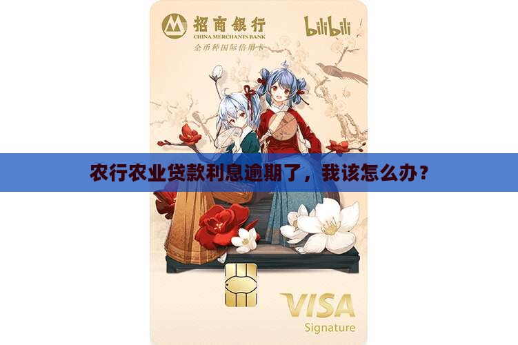 农行农业贷款利息逾期了，我该怎么办？