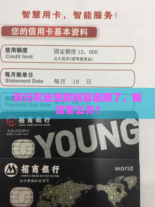 农行农业贷款利息逾期了，我该怎么办？