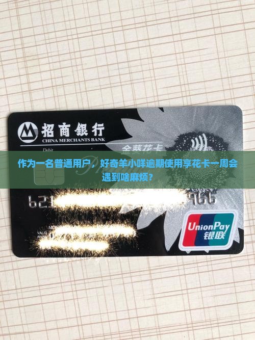 作为一名普通用户，好奇羊小咩逾期使用享花卡一周会遇到啥麻烦？