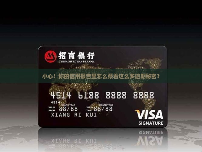 小心！你的信用报告里怎么藏着这么多逾期秘密？