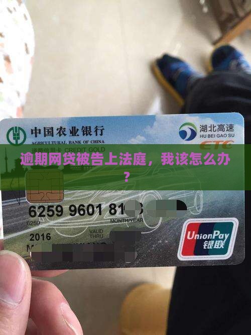 逾期网贷被告上法庭,我该怎么办? 逾期网贷被告上法庭,我该怎么办?