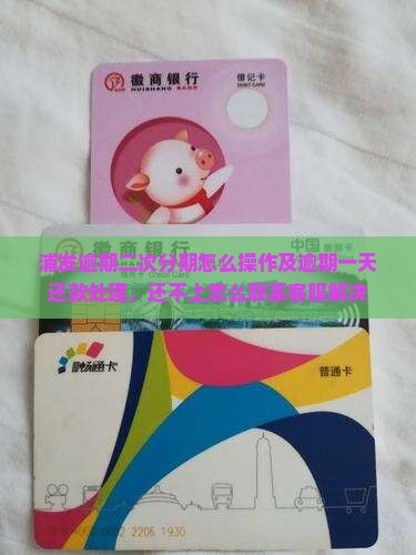 浦发逾期二次分期怎么操作及逾期一天还款处理，还不上怎么联系客服解决
