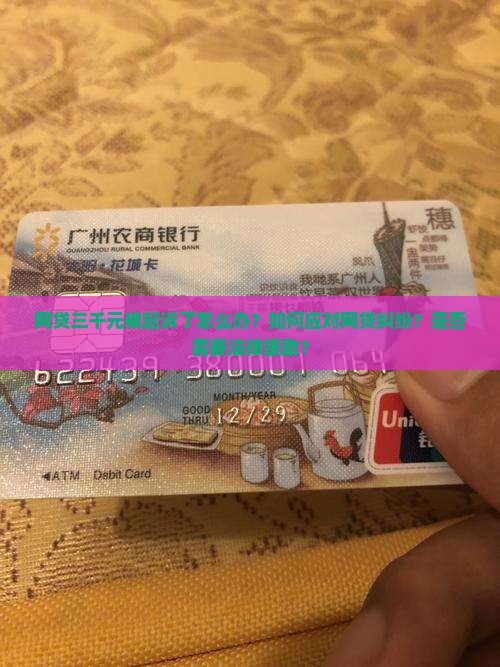 网贷三千元被起诉了怎么办？如何应对网贷纠纷？是否需要法律援助？
