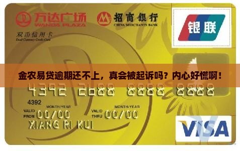 金农易贷逾期还不上，真会被起诉吗？内心好慌啊！