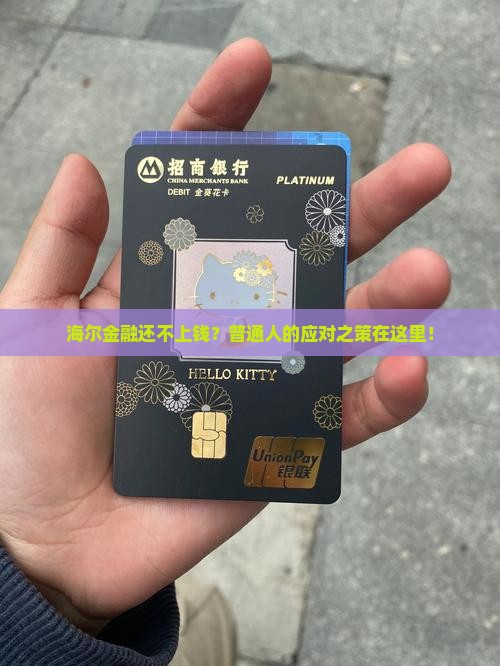 海尔金融还不上钱？普通人的应对之策在这里！