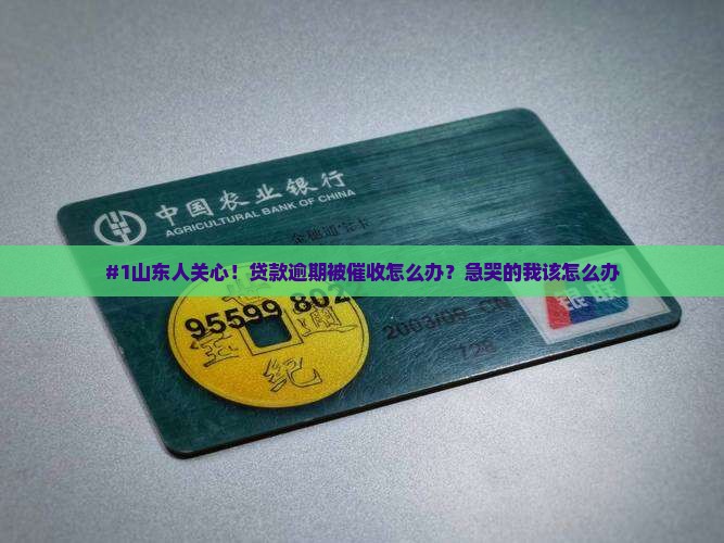 #1山东人关心！贷款逾期被催收怎么办？急哭的我该怎么办