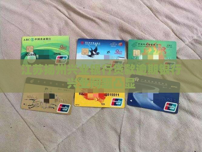 江苏扬州兴业银行贷款逾期银行兴业问题凸显