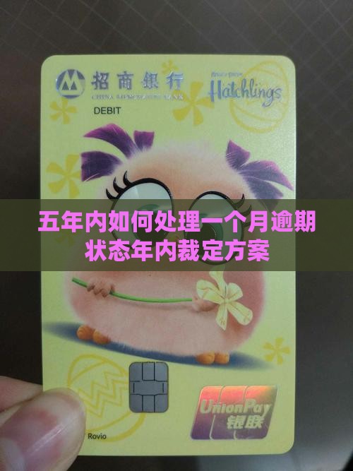 五年内如何处理一个月逾期状态年内裁定方案