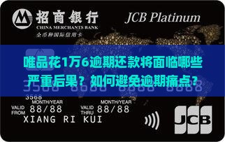 唯品花1万6逾期还款将面临哪些严重后果？如何避免逾期痛点？
